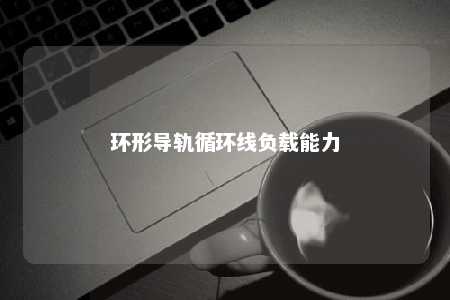 环形导轨循环线负载能力 